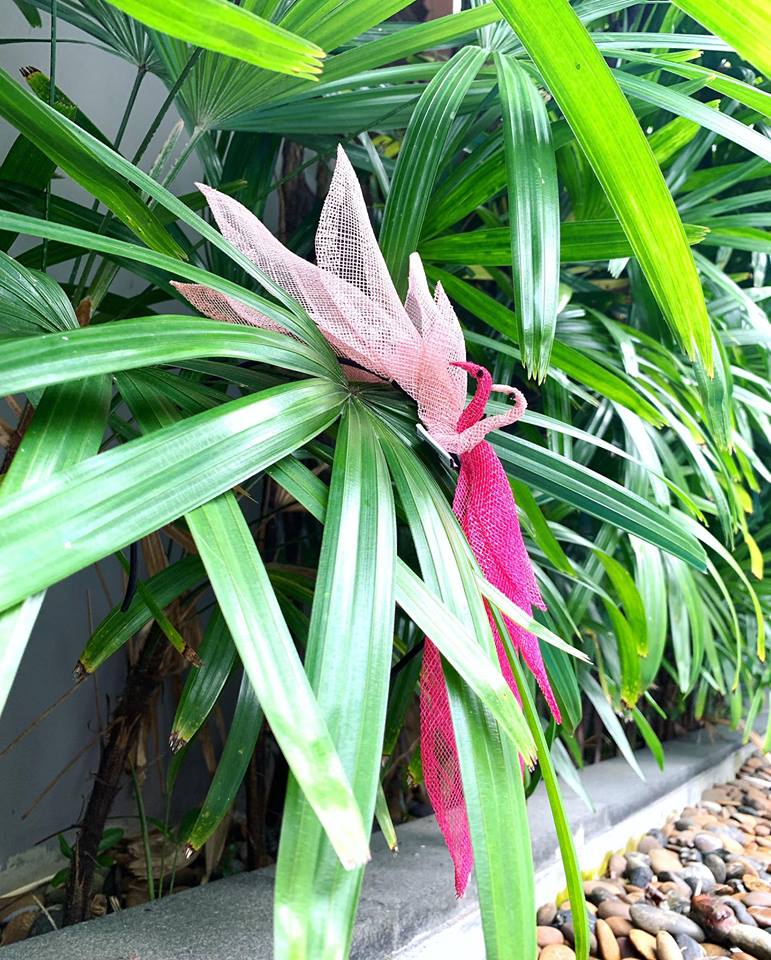 When Flamingo meets Swan