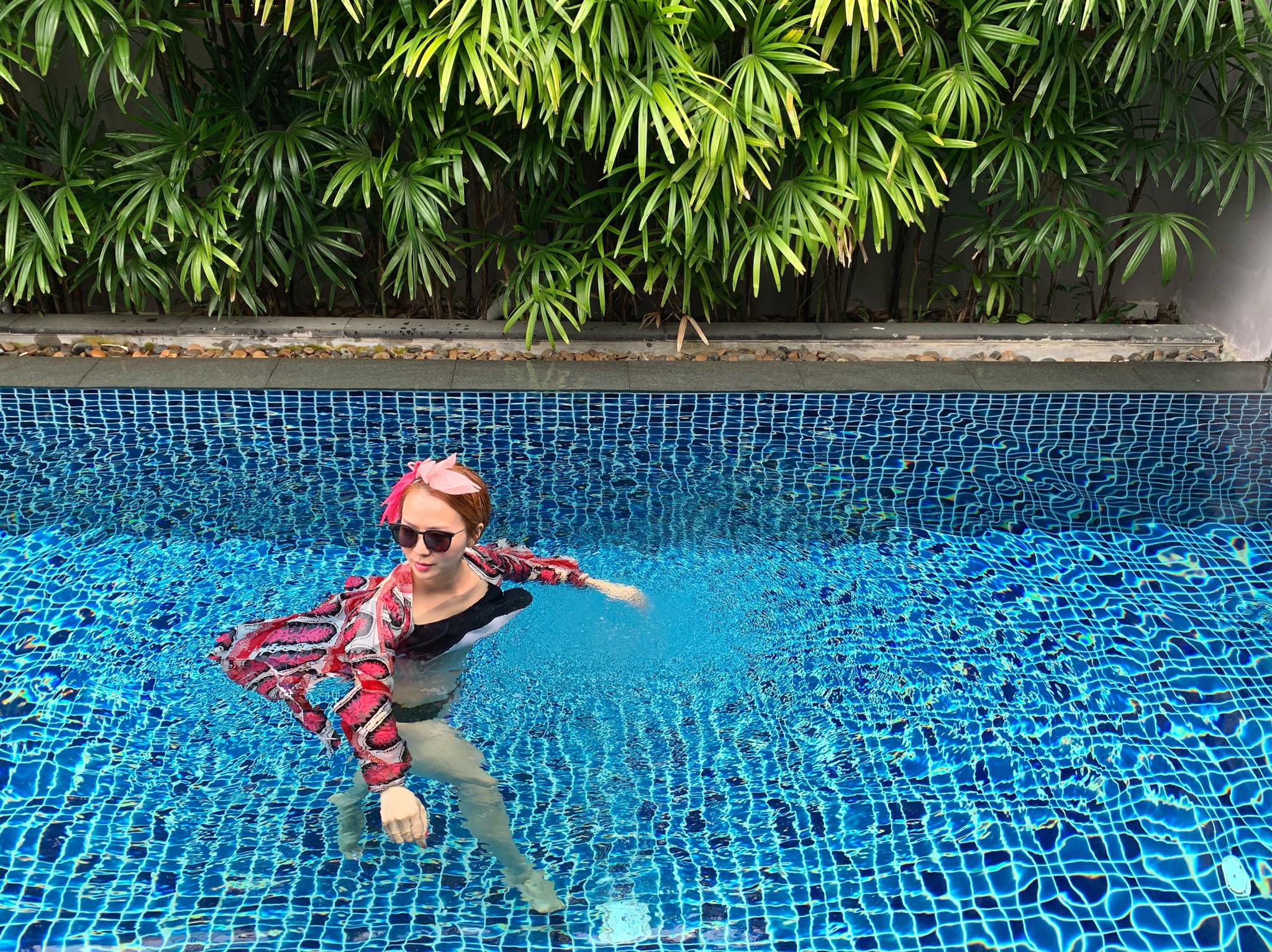 When Flamingo meets Swan