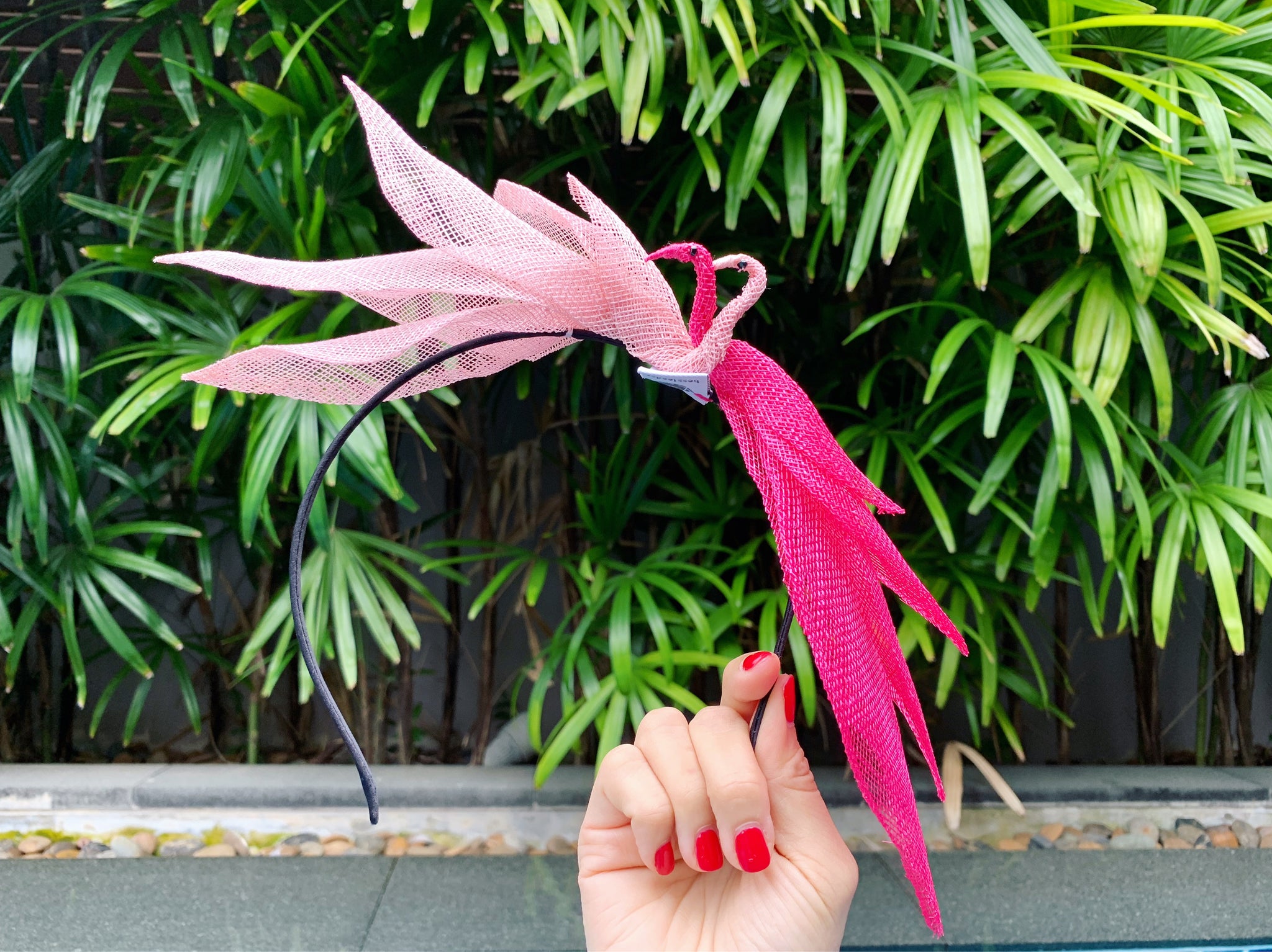 When Flamingo meets Swan